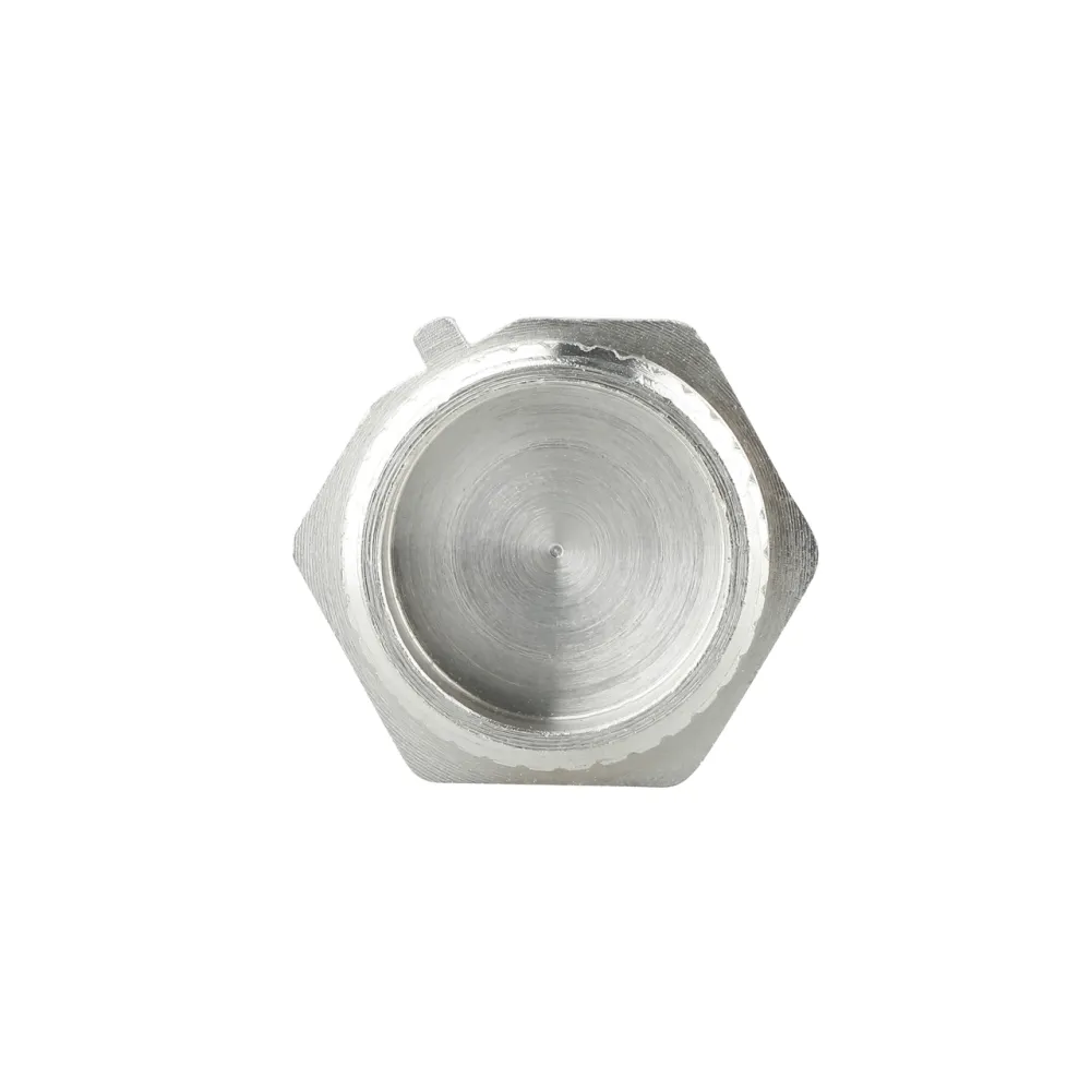 Заглушка Thermo Alliance Forte 1" НР SF35325 Київ - фото 9