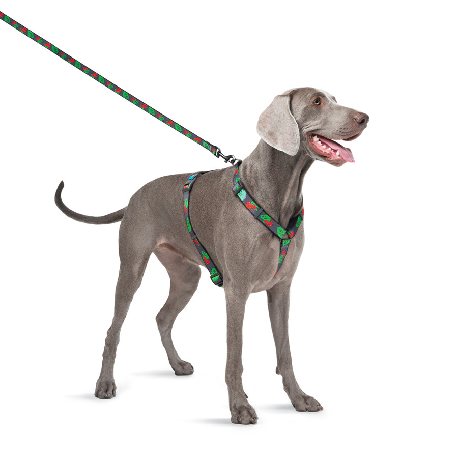 Повідець для собак нейлоновий WAUDOG Nylon, малюнок "Калина", розмір L-ХХL, Ш 25 мм, Д 122 cм Коломия - фото 7