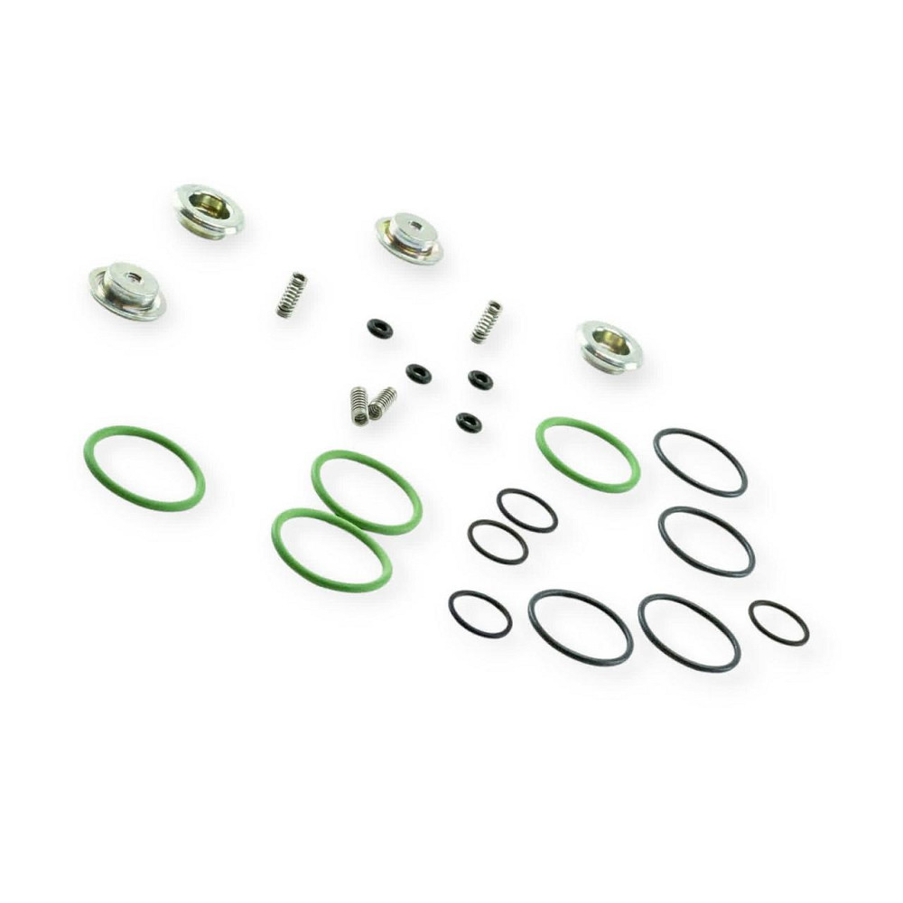 Ремкомплект форсунок AEB на 4 циліндри Мукачево - фото 2