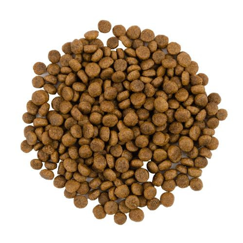 Корм сухой Savory Adult Cat Gourmand Fresh Turkey and Duck для кошек-гурманов со свежей индейкой и уткой 8 кг Киев - изображение 2