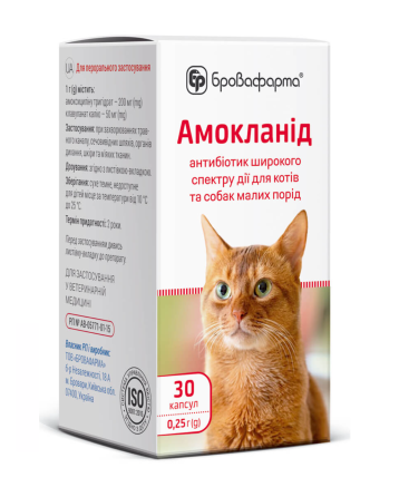 Амокланід капсули 0,25г №30 Бровафарма (Амоксицилін) Вінниця