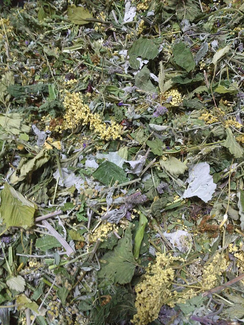 Запарка для бані, сауни, ванни 