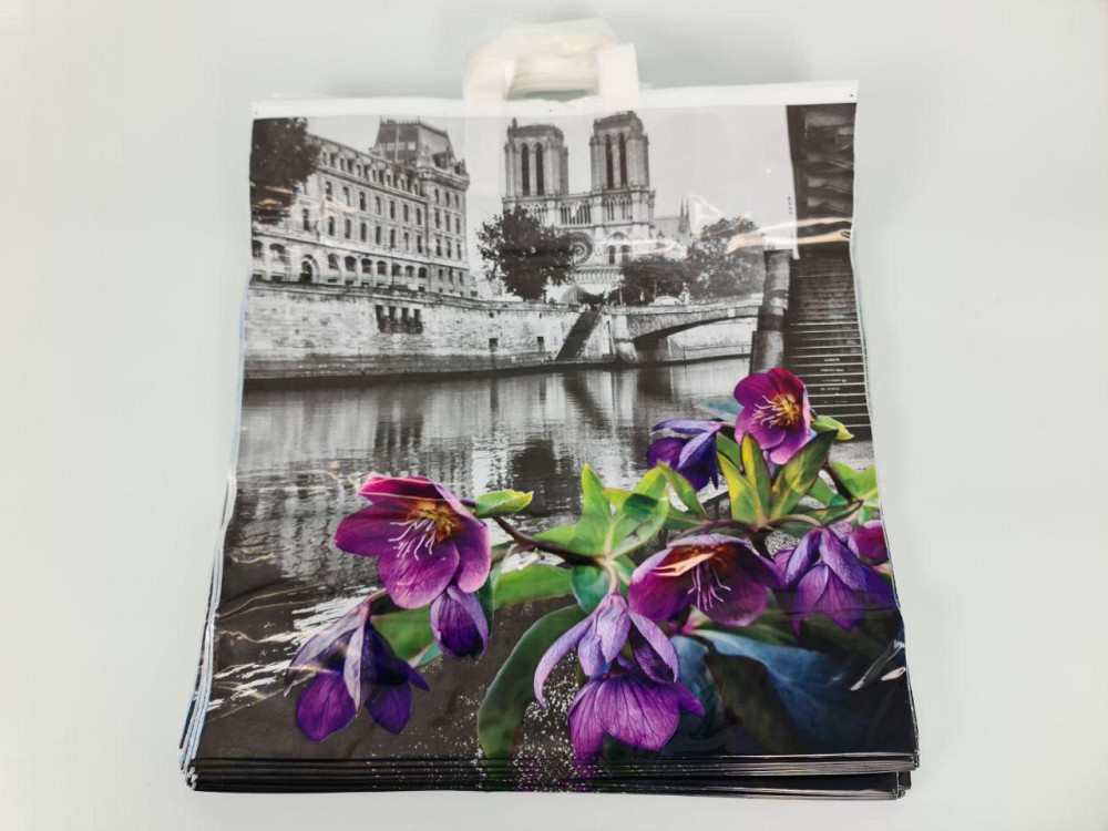 Пакет 46*49 петлевая ручка Нотр Дам Комсерв (25 шт) Харьков - изображение 2