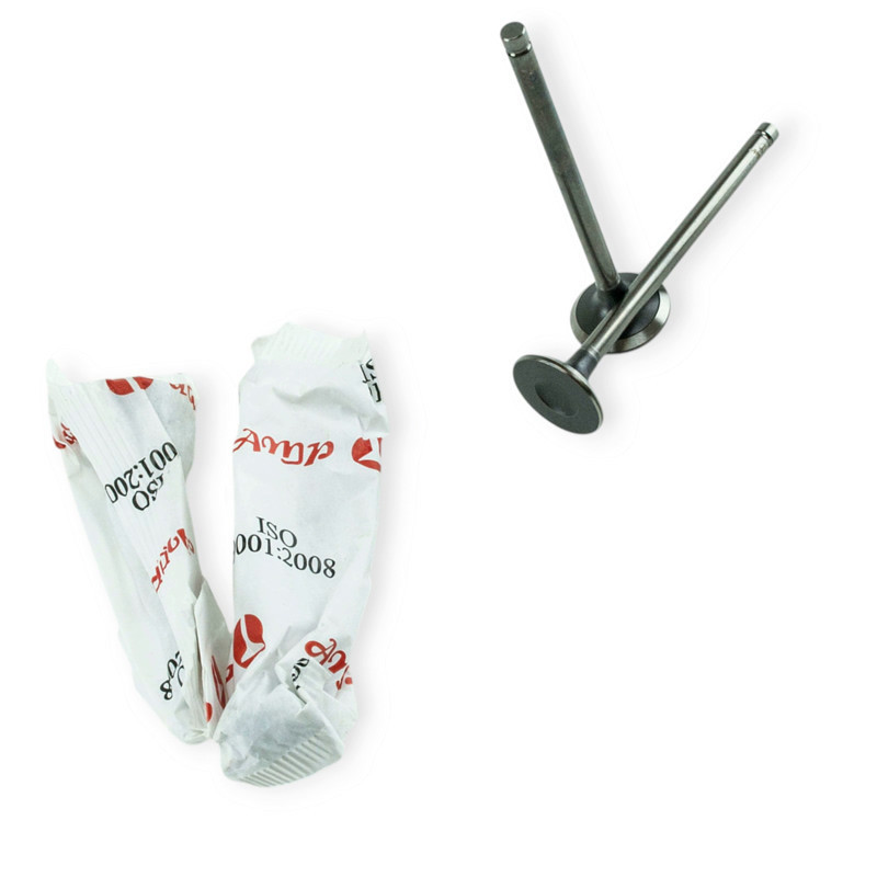 Клапана 1,6 AMP випуск (PDAE006) (4шт) Азот (рекоменд. з ГБО) Ланос Мукачево - фото 1