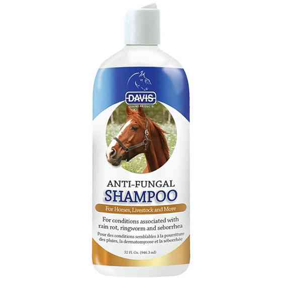 Davis Anti-Fungal Shampoo ДЕВІС АНТИ-ФУНГАЛ протигрибковий шампунь з 2% хлоргексидином для собак, коней Київ