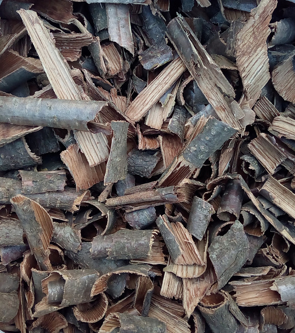 Лещина / Орешник (кора), 500г. MasterSEM Киев - изображение 1