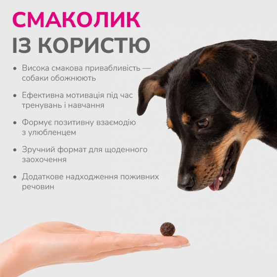 LK Baits Pet Nutrigo Treat Lamb Функціональні ласощі для собак з ягням та овочевим соусом (Ø 12 мм), 150 г Киев