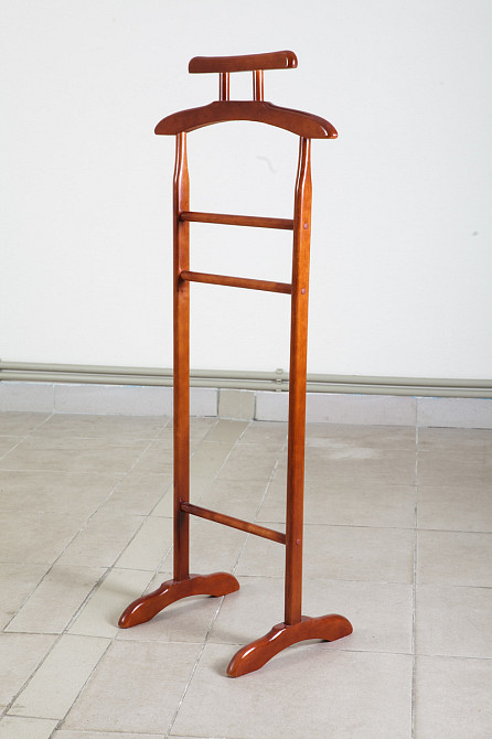 Плечики Гамма, яблуня Київ - фото 1