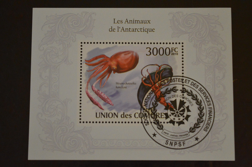 Коморы. Марки. Фауна. Блок. 2010 год (В-5) Полтава - изображение 1