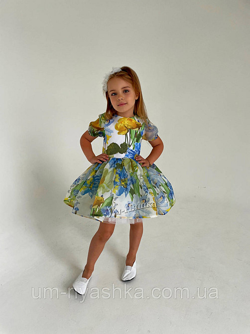 Жовта святкова сукня в патріотичних кольорах Кривой Рог - изображение 4