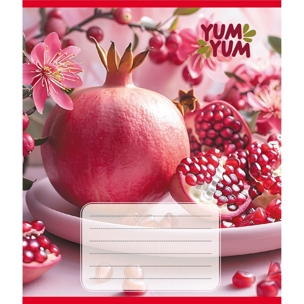 Зошит учнівський "Фрукти" 036-580143L-3 в лінію, 36 аркушів Вінниця - фото 1