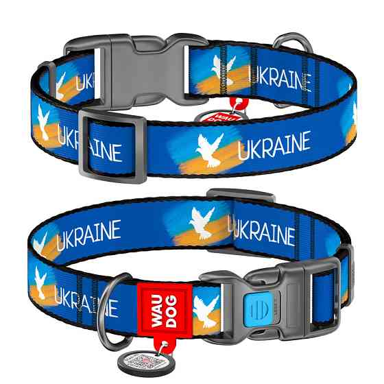 Нашийник для собак нейлоновий WAUDOG Nylon з QR-паспортом, малюнок "Фапор", пластиковий фастекс, M, Ш 20 мм, Дл Вінниця