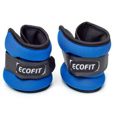 Обважнювач Ecofit MD1624 0,5 кг x 2 шт (К00016571) Вінниця - фото 1