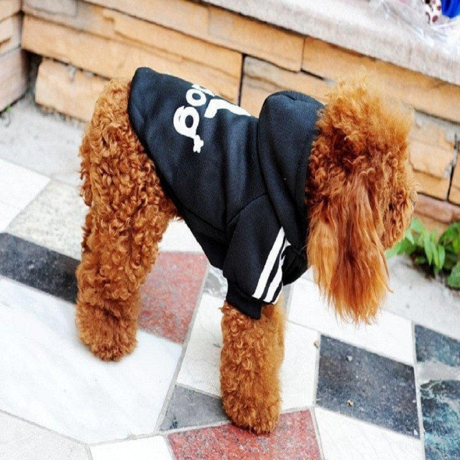 Толстовка для собак Адидог Adidog Киев - изображение 4
