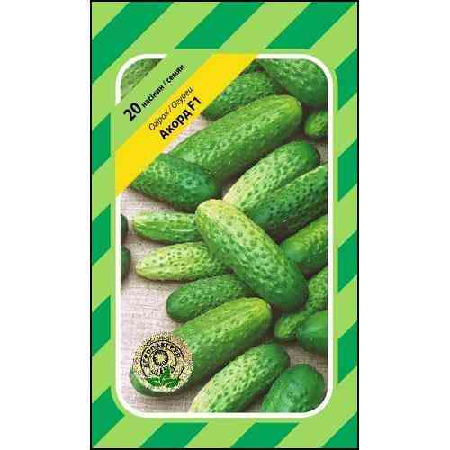 Семена огурцов Акорд F1 20 сем., Bejo Zaden, Голландия Винница