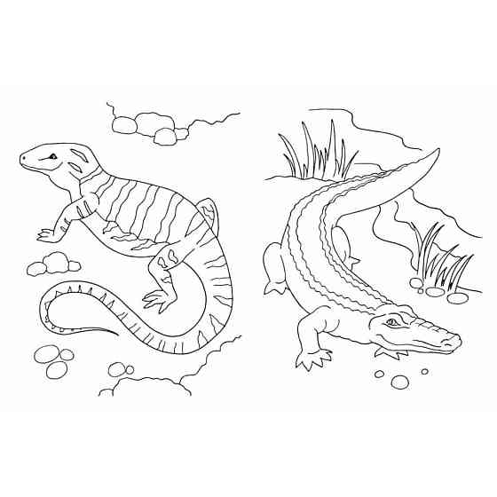 Велика книга розмальовок Тварини 1736031, 64 сторінки Вінниця