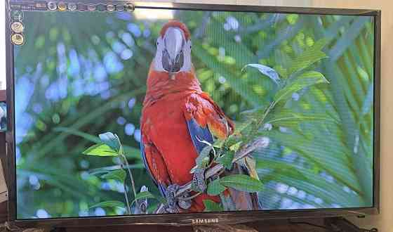 Телевизор: 55