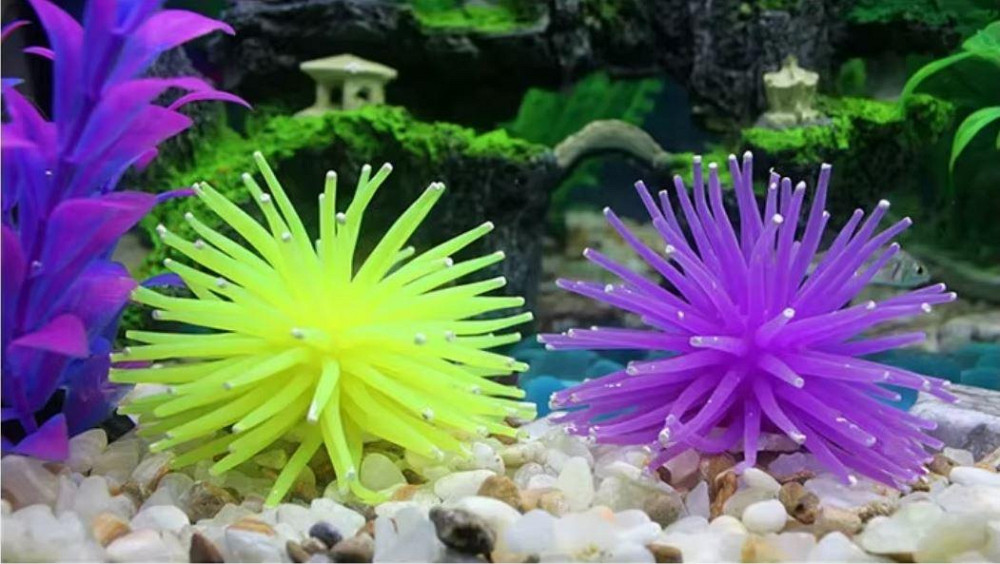 Яскравий декор в акваріум - Морський їжак. Київ - фото 3