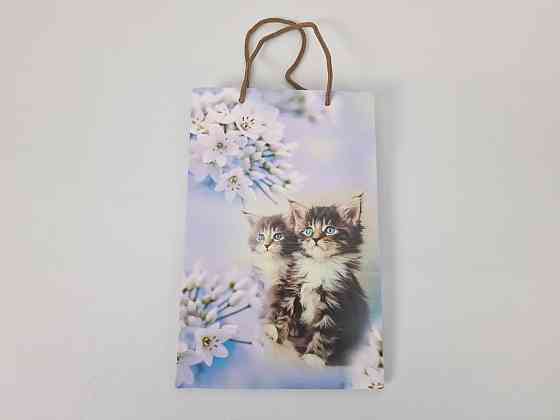 Бумажный пакет подарочный Средний 17/26/8(артSV-038) (12 шт) Харьков