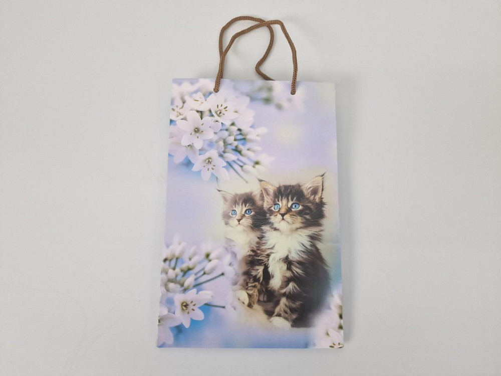 Паперовий пакет подарунковий Середній 17/26/8 (артSV-038) (12 шт.) Харків - фото 2