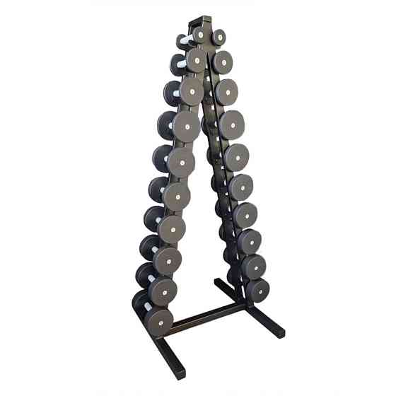 Гантельный ряд со стойкой Profi NE-PS-222-022 от 1 кг до 10 кг Винница