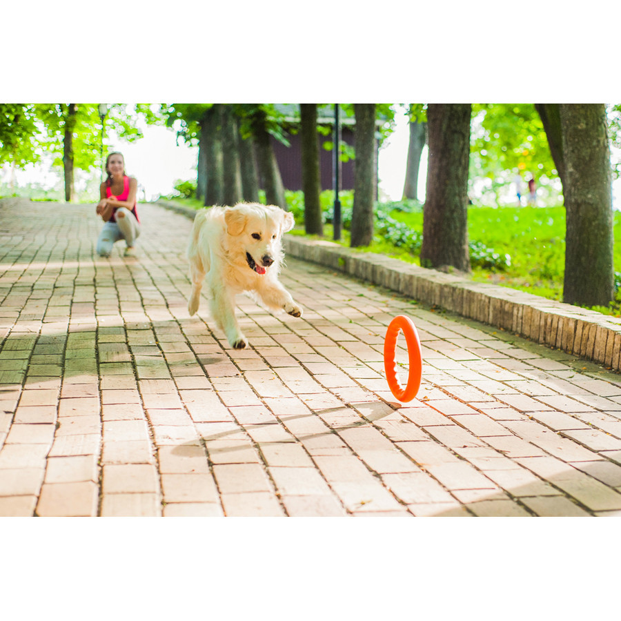 Кольцо для апортировки PitchDog30, диаметр 28 см оранжевый Киев - изображение 8