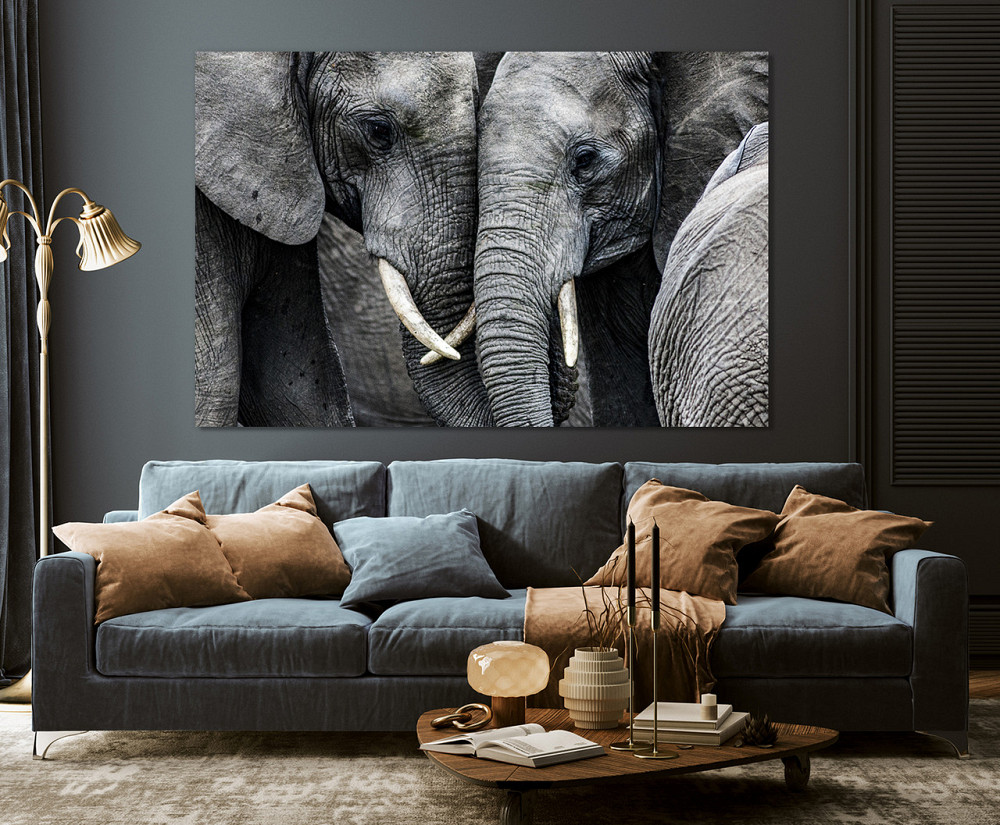 Картина полотно у вітальню / спальню   Пара Слонів  MLP_364 ( 60х30см ) 60x100 см Київ - фото 2