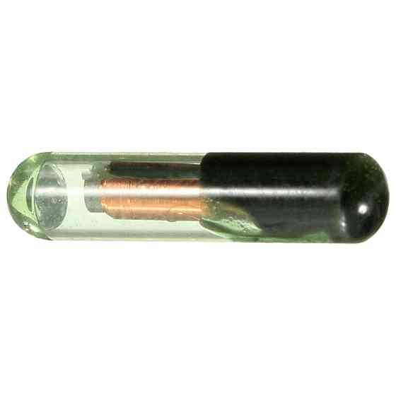 Чип ID48 T6 для ключів VW Audi Skoda Seat Honda Київ