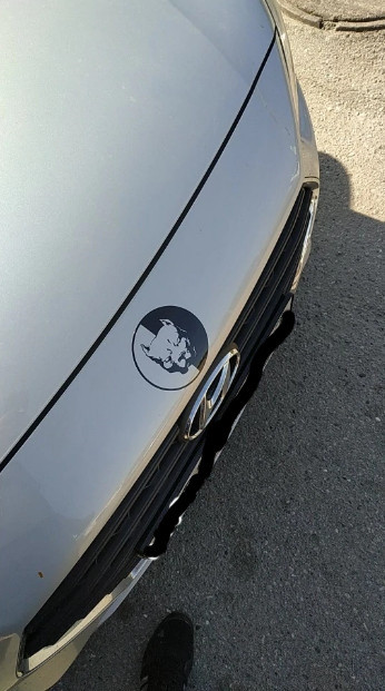 Наклейка на авто или мото Питбуль Белая светоотраж Киев - изображение 4