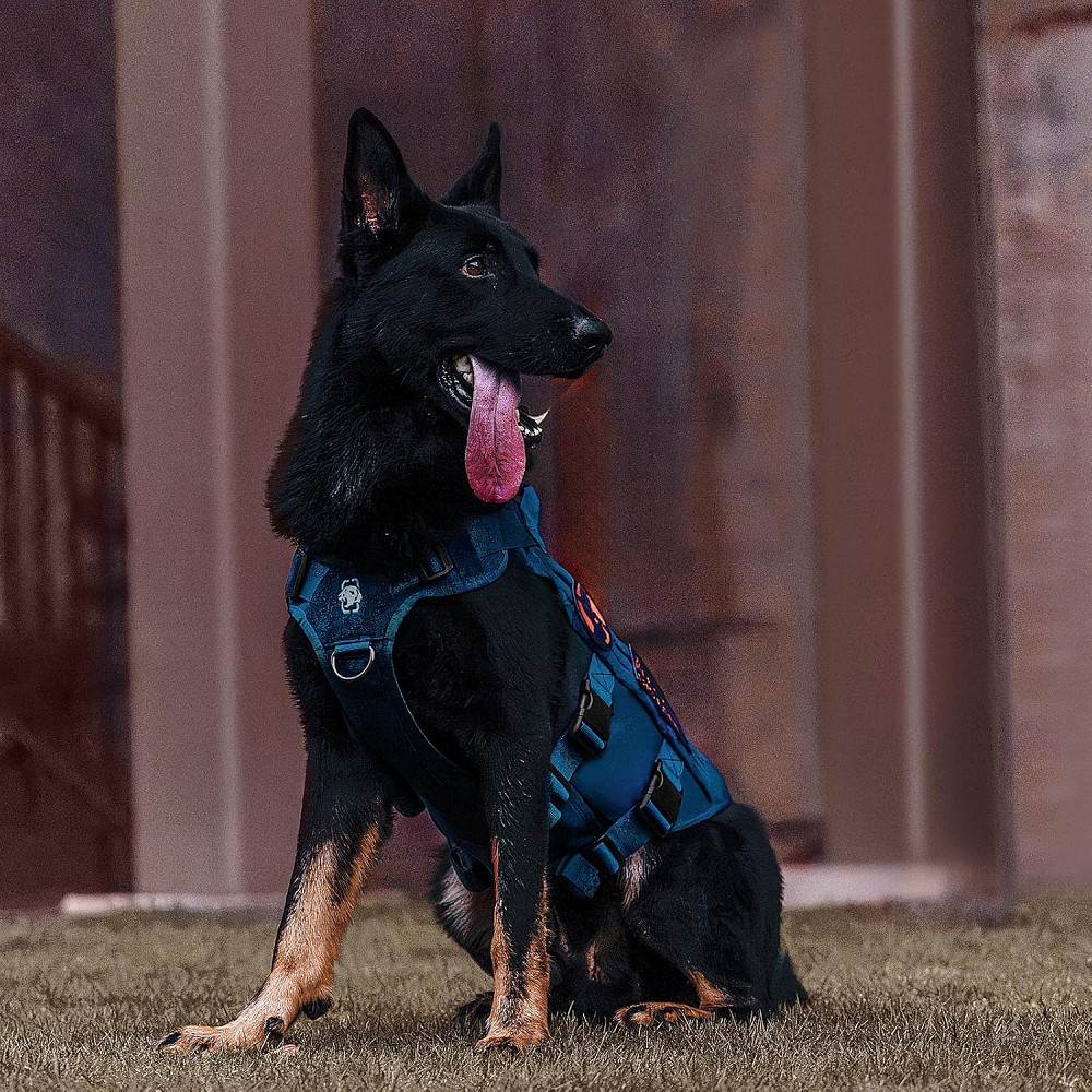 Тактична шлея жилет OneTigris для котів та малих собак XS Луцьк - фото 3