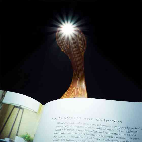 Закладка-ліхтарик Flexilight - Деревина Дніпро