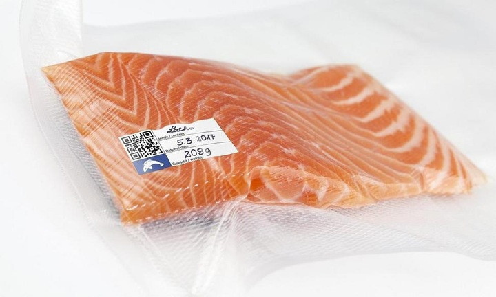 Пленка для вакуумного аппарата 25х600 см 2 рулона CASO (1225) Нововолынск - изображение 5