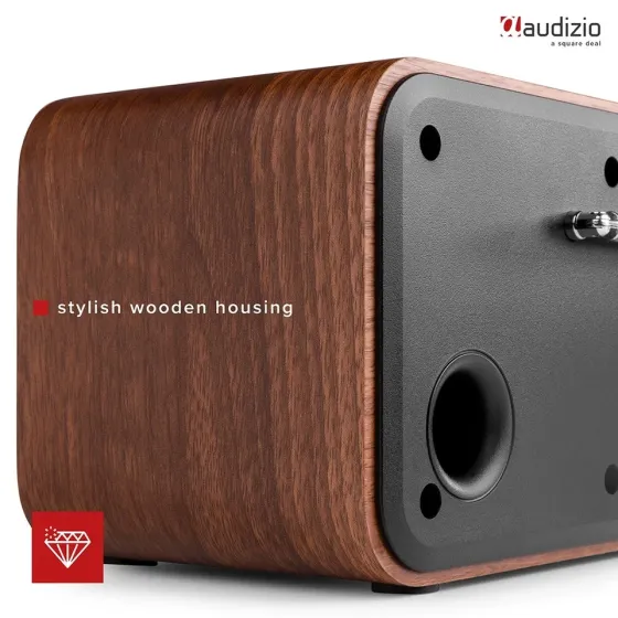 Audizio Novara DAB+ Радіо FM Рівне