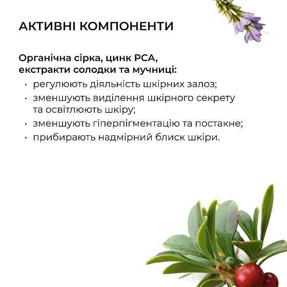 Набір для очищення та боротьби з акне Hillary Anti-Acne & Detox Skin Set Київ