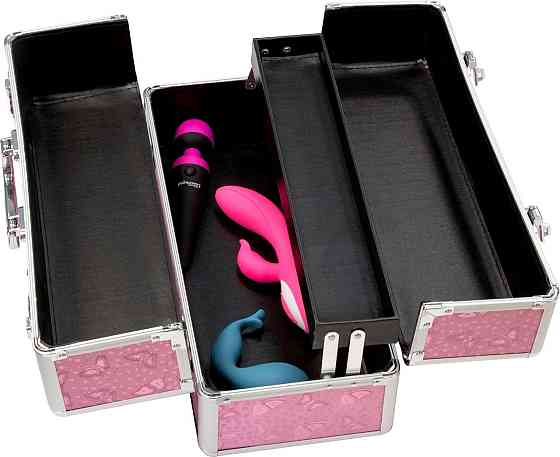 Великий кейс для зберігання секс-іграшок BMS Factory Large Lokable Vibrator Case Pink, кодовий замок Sex Aura Київ