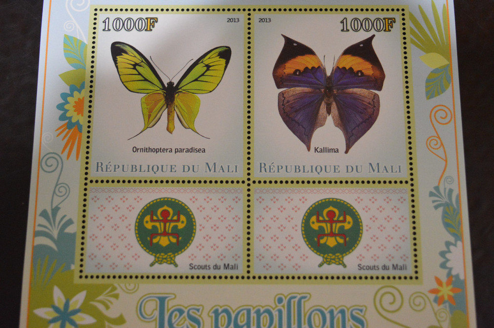 Мали. Фауна. Блок. 2014 год (А-20) Полтава - изображение 1