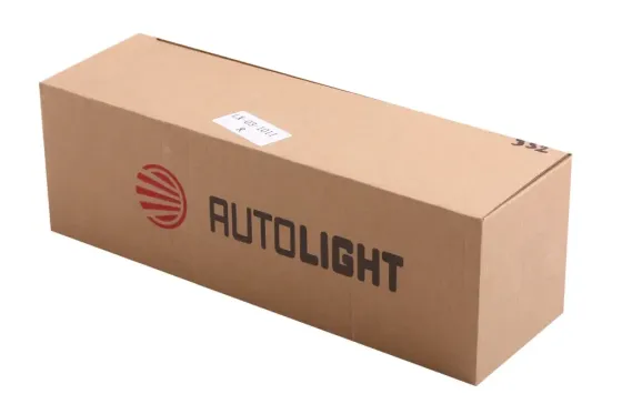 Тло камАЗ Auto light правий Вінниця