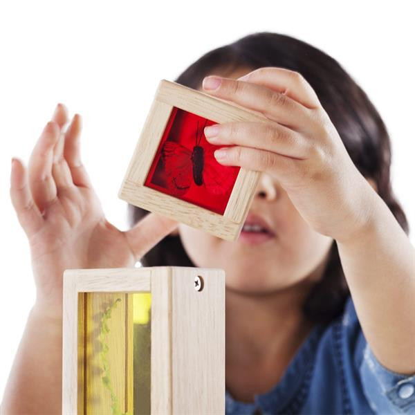 Набір Guidecraft Natural Play Скарби у кольорових ящиках (G3085) Харьков - изображение 7