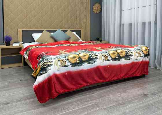 Плед-покрывало 200х230 см с рождественским принтом Разноцветный (87-325) Киев