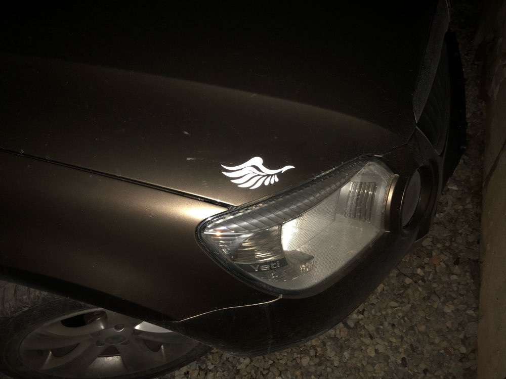 Наклейки Крила на дзеркала заднього виду, на емблему Київ - фото 6