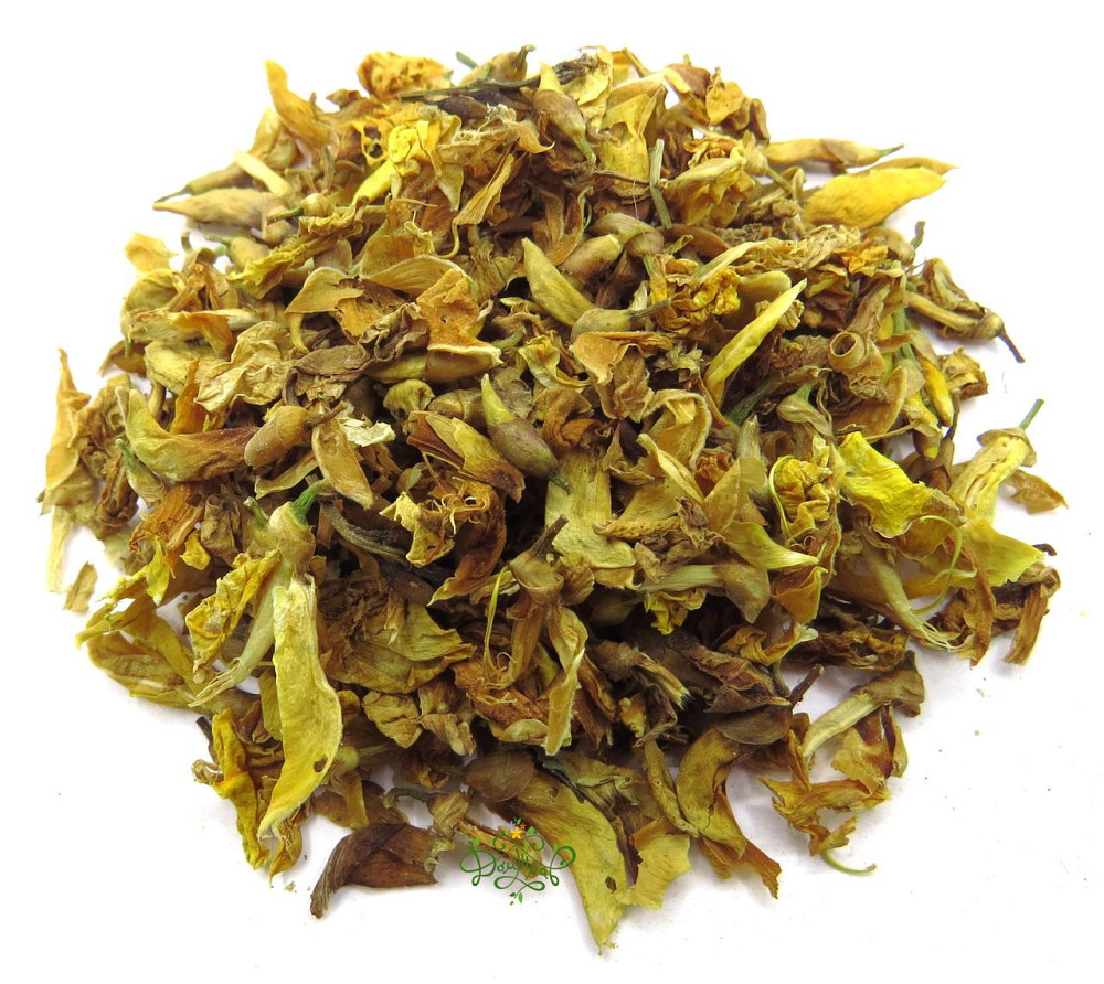 Дрок красильный (Дрік фарбувальний)100г master sem Киев - изображение 3