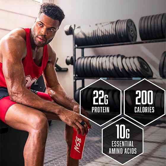 Syntha-6  1.32 kg   (Strawberry) Луцк