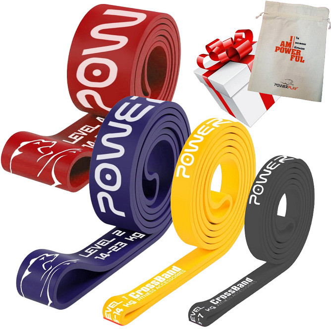 Эспандер петля (резинка для фитнеса и кроссфита) PowerPlay PP_0014 набор 4шт. сопротивление 2-39кг. (сумарно 83кг.) Киев - изображение 1