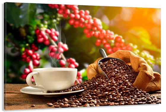 Картина полотно у вітальню / спальню Кава  MLP_370 ( 60х30см ) 70x140 см Київ