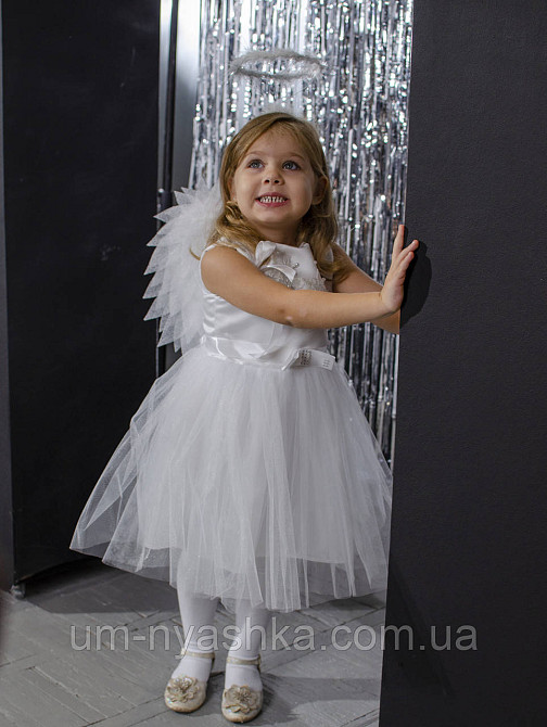 Крылья Ангела маленькие сердце Кривой Рог - изображение 2