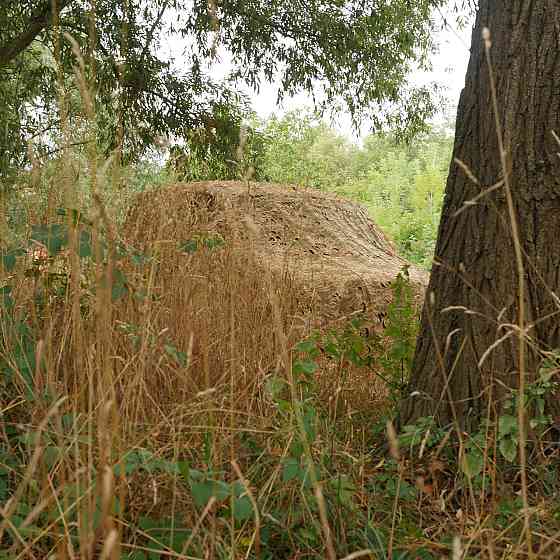 Маскирующая сетка Militex Мультикам 6х10м (площадь 60 кв.м.) Киев