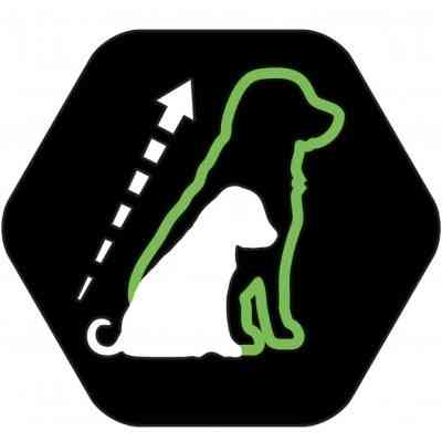 Сухий корм для собак Purina Pro Plan Small&amp;Mini Puppy з куркою та рисом 7 кг (7613035123366) Вінниця