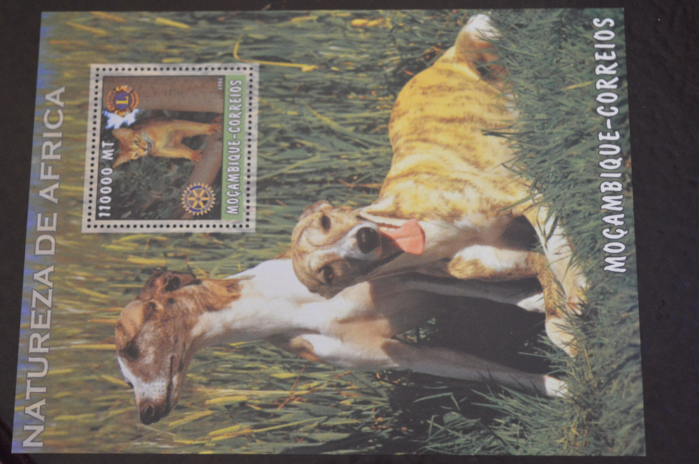 Мозамбик. Фауна. Блок. 2015 год (В-7) Полтава - изображение 1