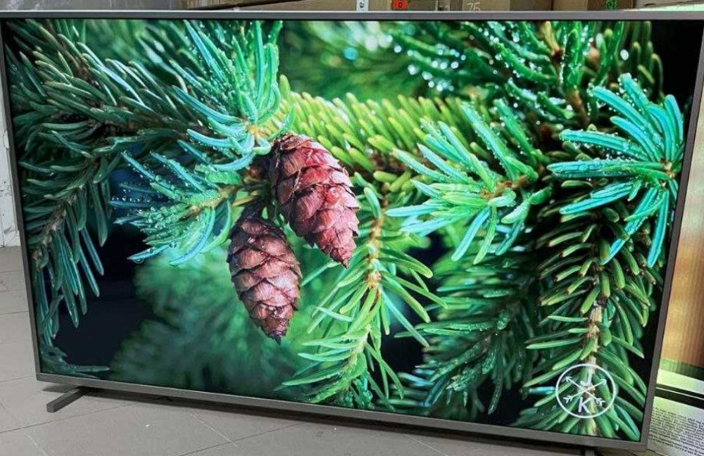 Телевизор Безрамный: 65