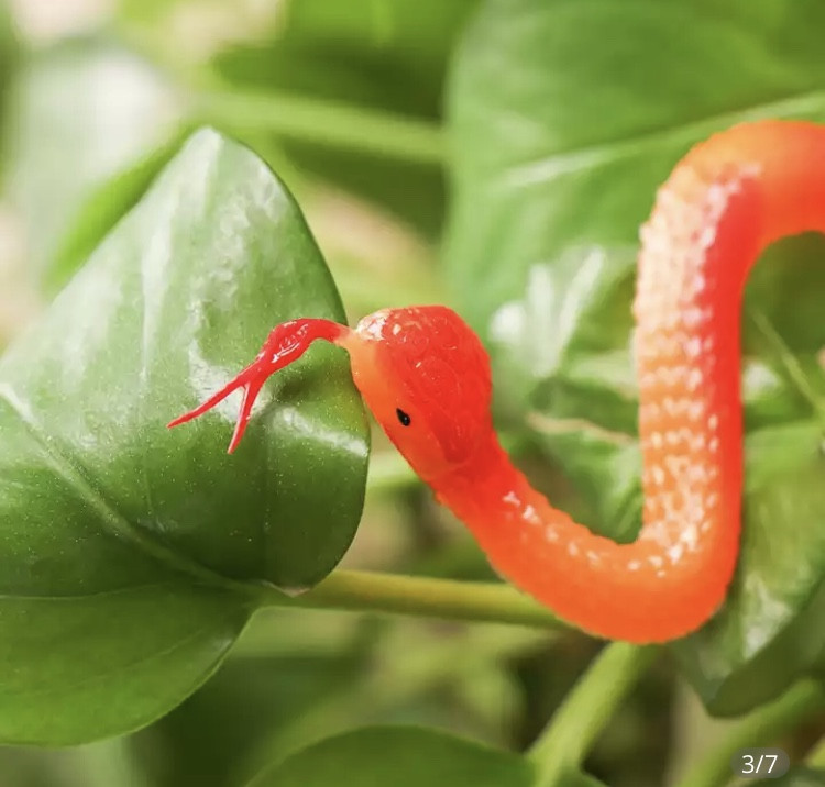 Іграшка змія резинова 23 см червоно-жовтий Київ - фото 2